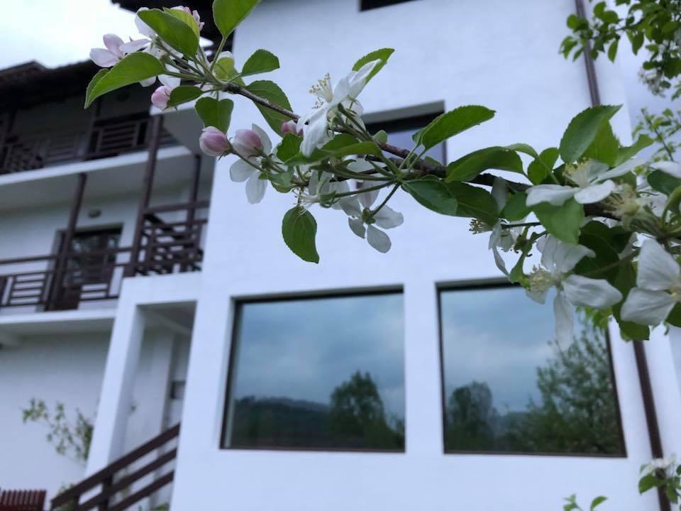 Livada Cu Meri Căpăţîneni-Ungureni Exterior foto